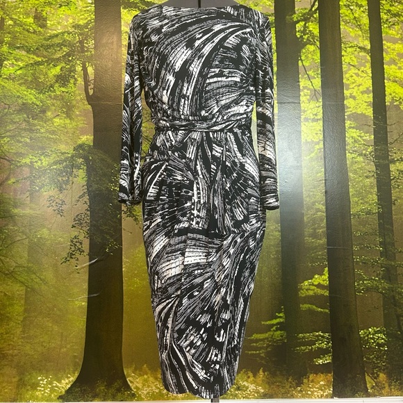 Boat Neck Waist Detail Dress - Picture 6 of 7